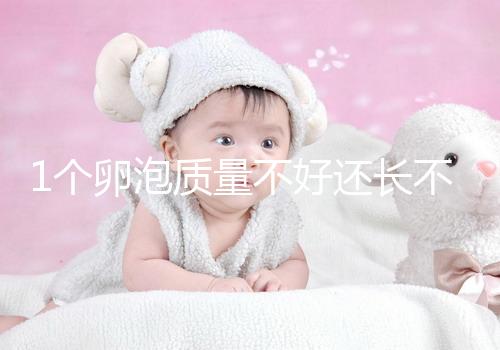 1個(gè)卵泡質(zhì)量不好還長不大，如何提高試管嬰兒懷孕成功率？