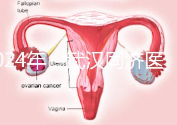 2024年，武漢同濟醫院不孕癥醫生排名公布，選擇專家迅速登記