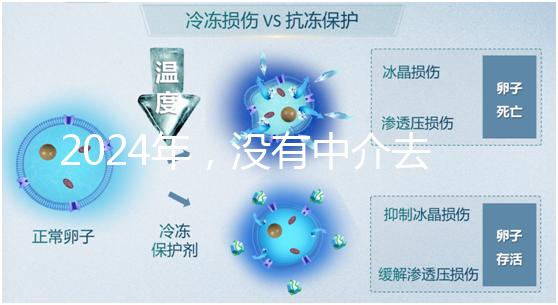 2024年，沒有中介去泰國做試管嬰兒？他們有必要這么說嗎？...