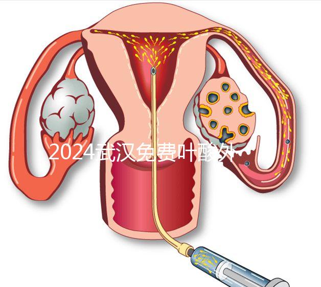 2024武漢免費葉酸外國人可以領取，符合條件就來江漢區