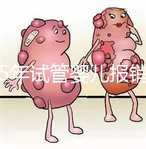 2025年試管嬰兒報(bào)銷多少（做試管可以報(bào)銷醫(yī)保嗎）