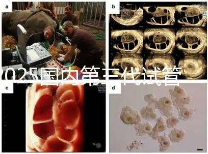 2025國內(nèi)第三代試管嬰兒醫(yī)院排名前十強公布（附地址）