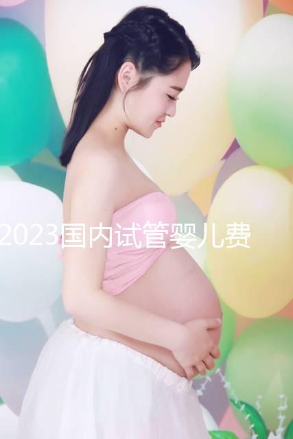2023國內(nèi)試管嬰兒費用明細表一覽，4大項目不同花費get