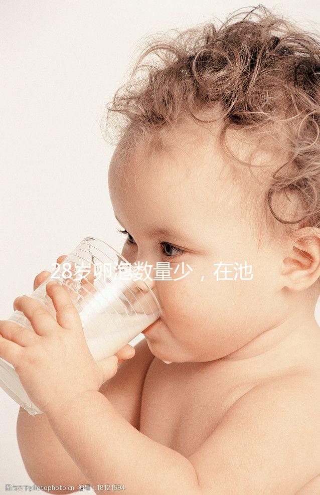 28歲卵泡數量少，在池州能不能做試管嬰兒？