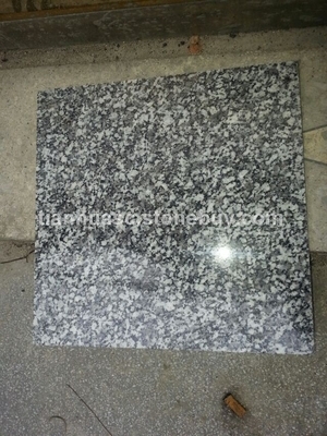 藍(lán)冰花荒料產(chǎn)品介紹 - 湖南天華石材優(yōu)質(zhì)花崗巖