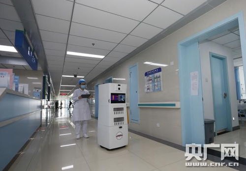 科研團隊要攥緊拳頭張開巴掌——記中國工程院院士、合肥工業(yè)大學(xué)教授楊善林的網(wǎng)絡(luò)工程之道