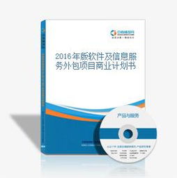 2016年版軟件及信息服務(wù)外包項目商業(yè)計劃書